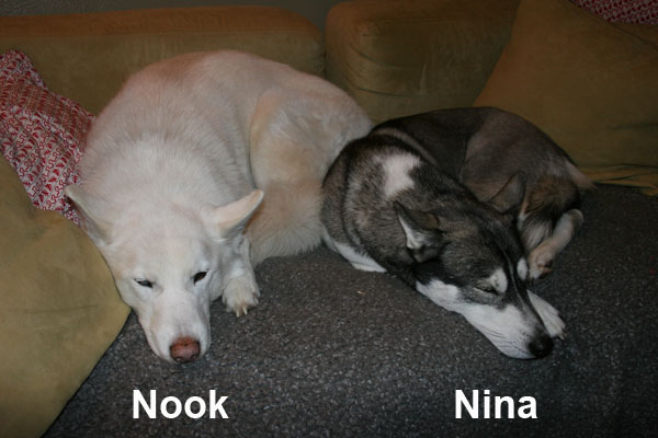 Nook & Nina